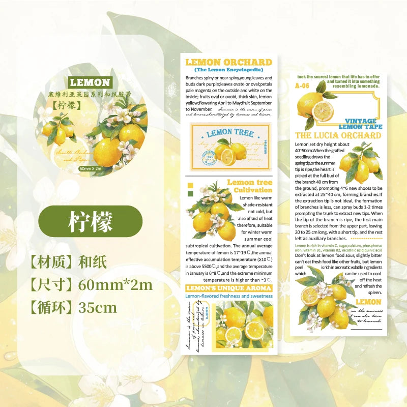 60mm*200cm Lemon Fruit Theme PET Tape Diary Planner Decor Junk Journal Scrapbooking School Supplies Collage Stationery Tapes Qme E