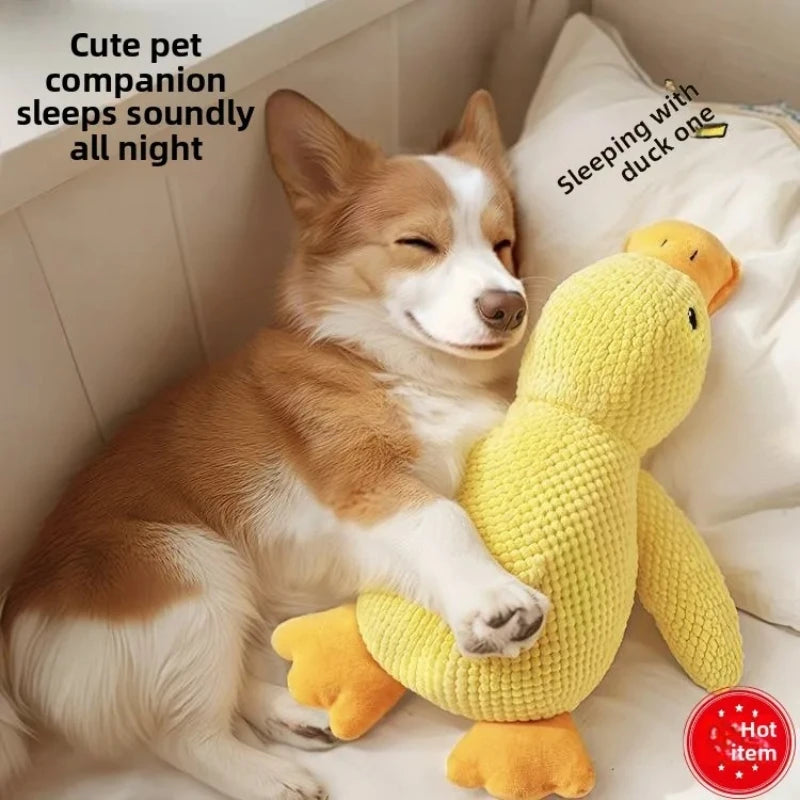 2-Piece Squeaky Plush Dog Toy,Soft Puppy Teething Chew Toy, Bite Resistant,Self-Play Companion for Small Medium Large Dogs Qme