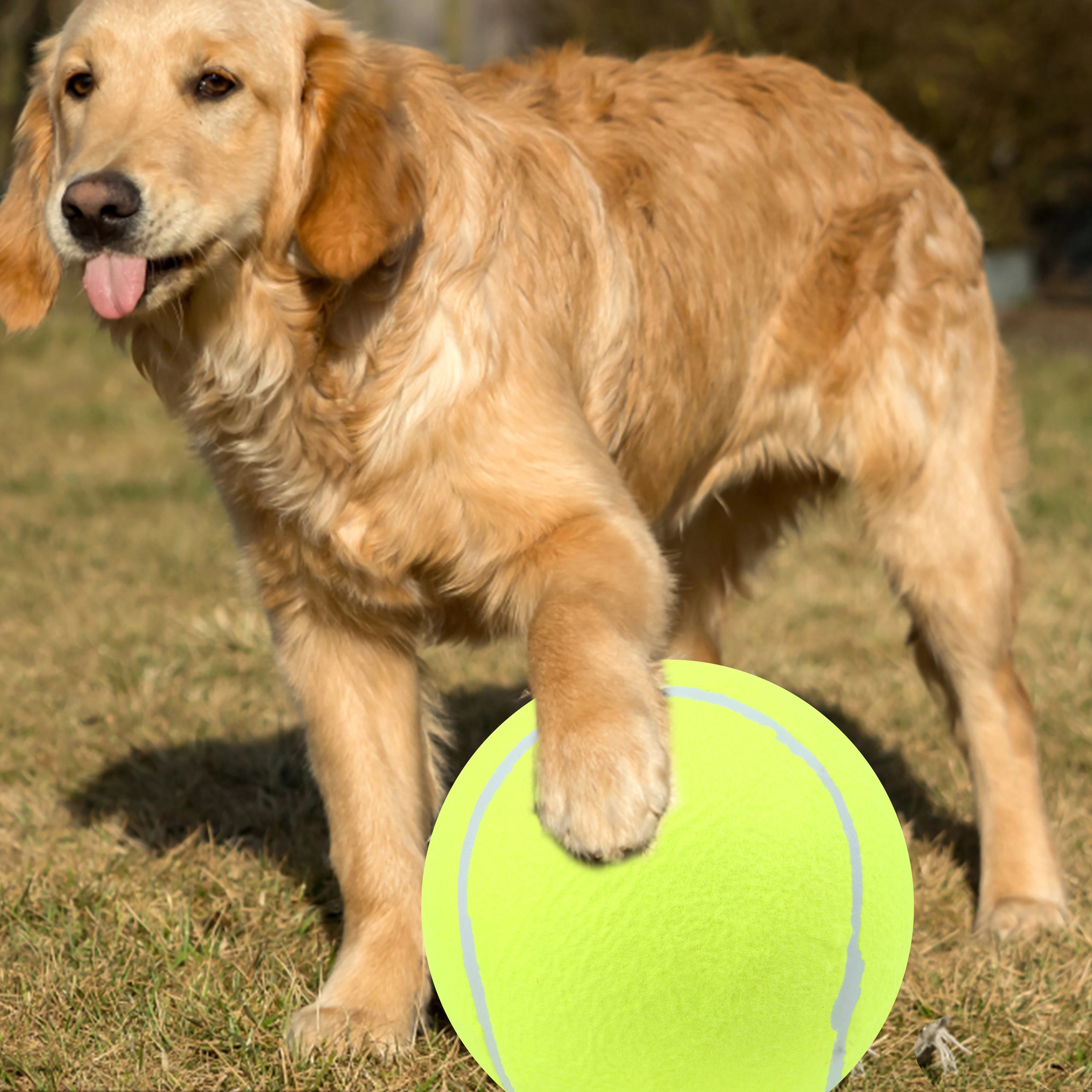1 Pack Portable Air Pump Inflator for Dog Inflatable Tennis Balls Pet Toy Ball Hand Pump（without ball） Qme