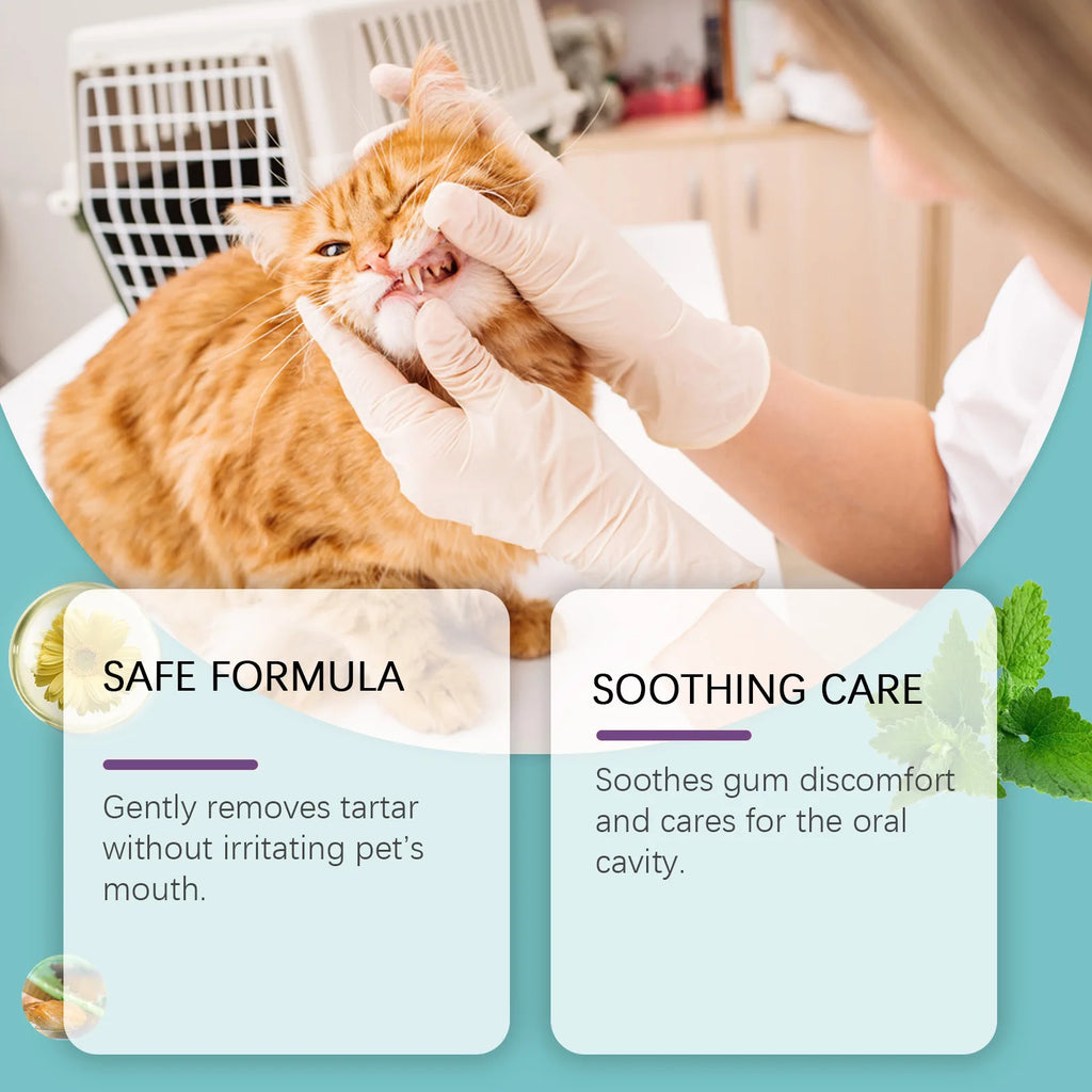 Pet Teeth Finger Cots Disposable Remove Tartar Super Soft Puppy Cochlear Cleaning Cats Dogs Toothbrush Oral Care Finger Cover Qme