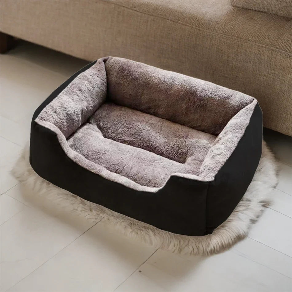 Bed for Cats Pet Products Cushions Kitten Goods Accessories Dog All Houses Supplies Things Accessory Habitats Basket House Beds Qme