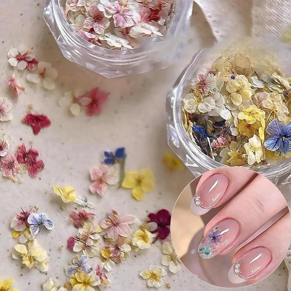 1 Box 3D Dried Flowers Nail Art Stickers Decals Mix Tiny Floral Petals Colorful Flower For Nails Crafts DIY Manicure Decorations Qme