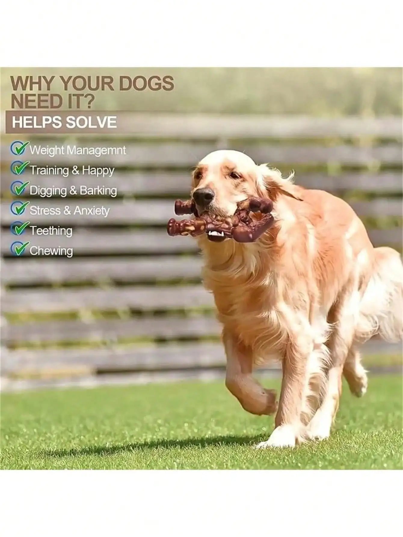 Beef Flavored Dog Toy Designed Specifically Aggressive Chewers Qme