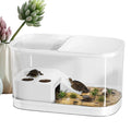Reptile Enclosure Container Snack Habitat Tank Bearded Dragon Gecko Qme Clear CN