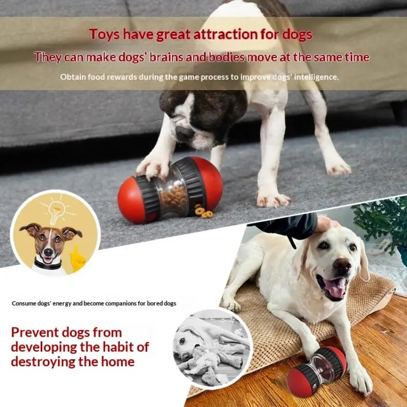 Elliptical Track Rolling Increase Intelligence Ball Leaky Food Qme