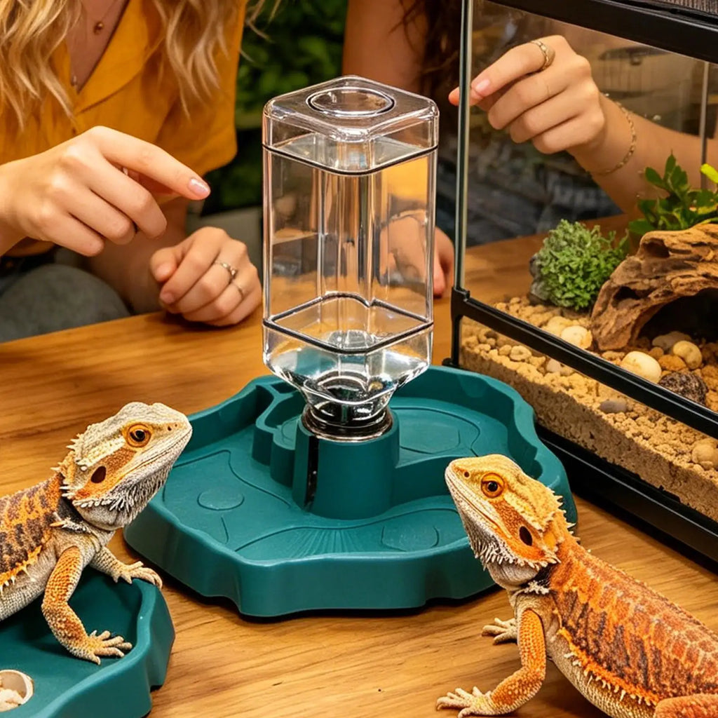 Reptile Water Feeder 1 Detachable Waterer Terrarium Tank Food Feeders Qme