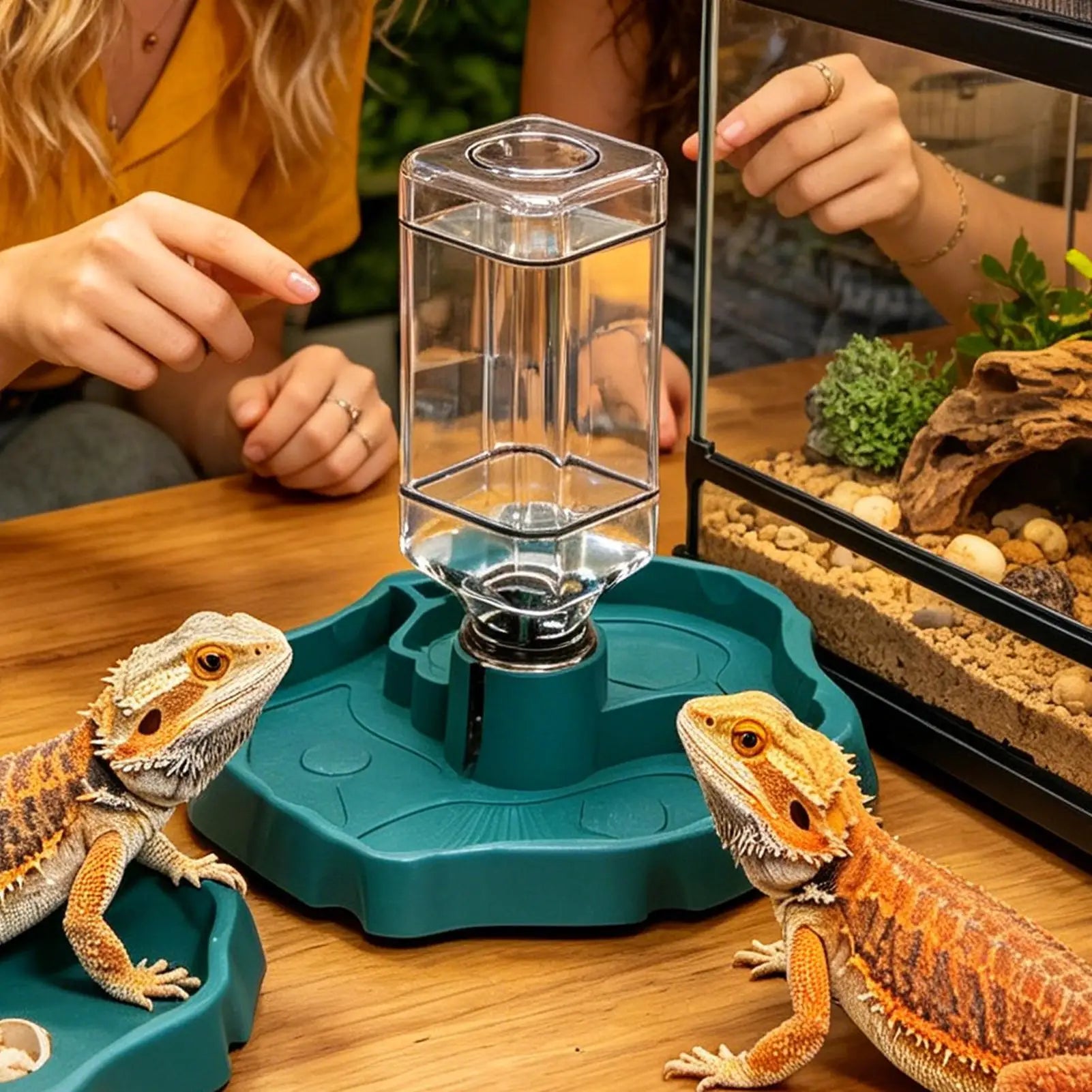 Reptile Water Feeder 1 Detachable Waterer Terrarium Tank Food Feeders Qme