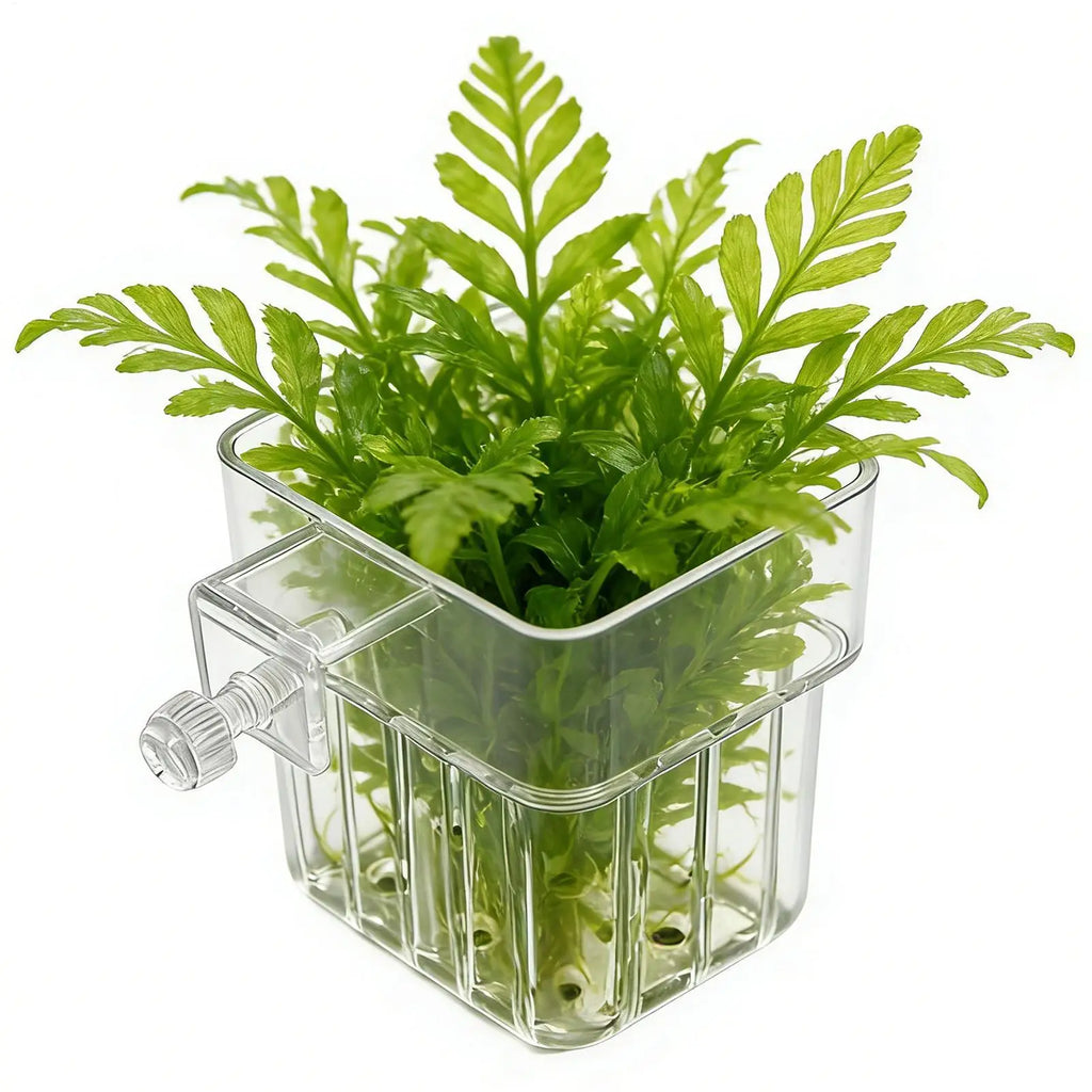 1pcs Plant Holder For Fish Tank Transparent Hangable Pot Cup Aquatic Plant Holder For Fish Tank Hydroponic System Indoor Home Qme