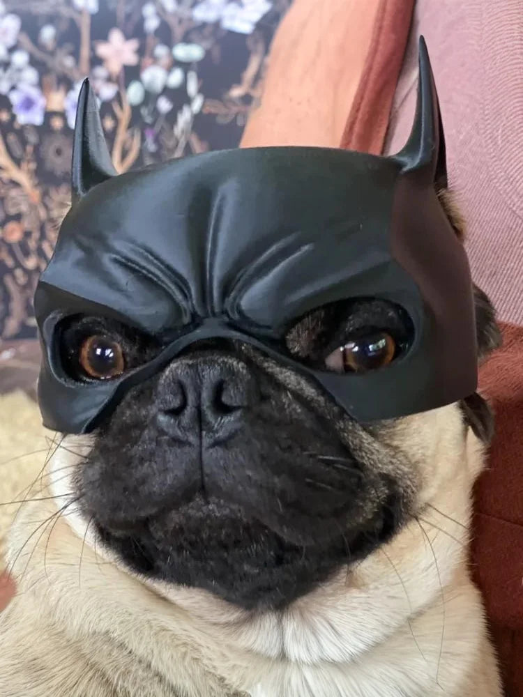 Dog Bat Cool Man Mask Avenger Cute Superhero Toys Halloween Costume Qme