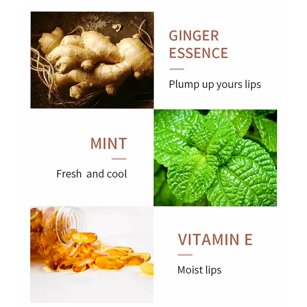 Natural Lip Plumper Daytime Night Use Ginger Mint Extracts Vitamin E Qme