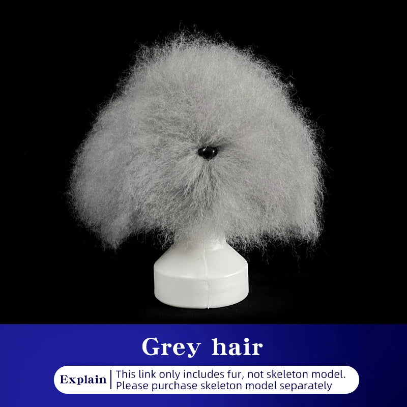 Teddy Pet Simulated Head Hair Fake Dog Head Model Beautician Practice Cutting Dog Hair Dog Body Wig Pet Grooming Student Study Qme Only Grey hair