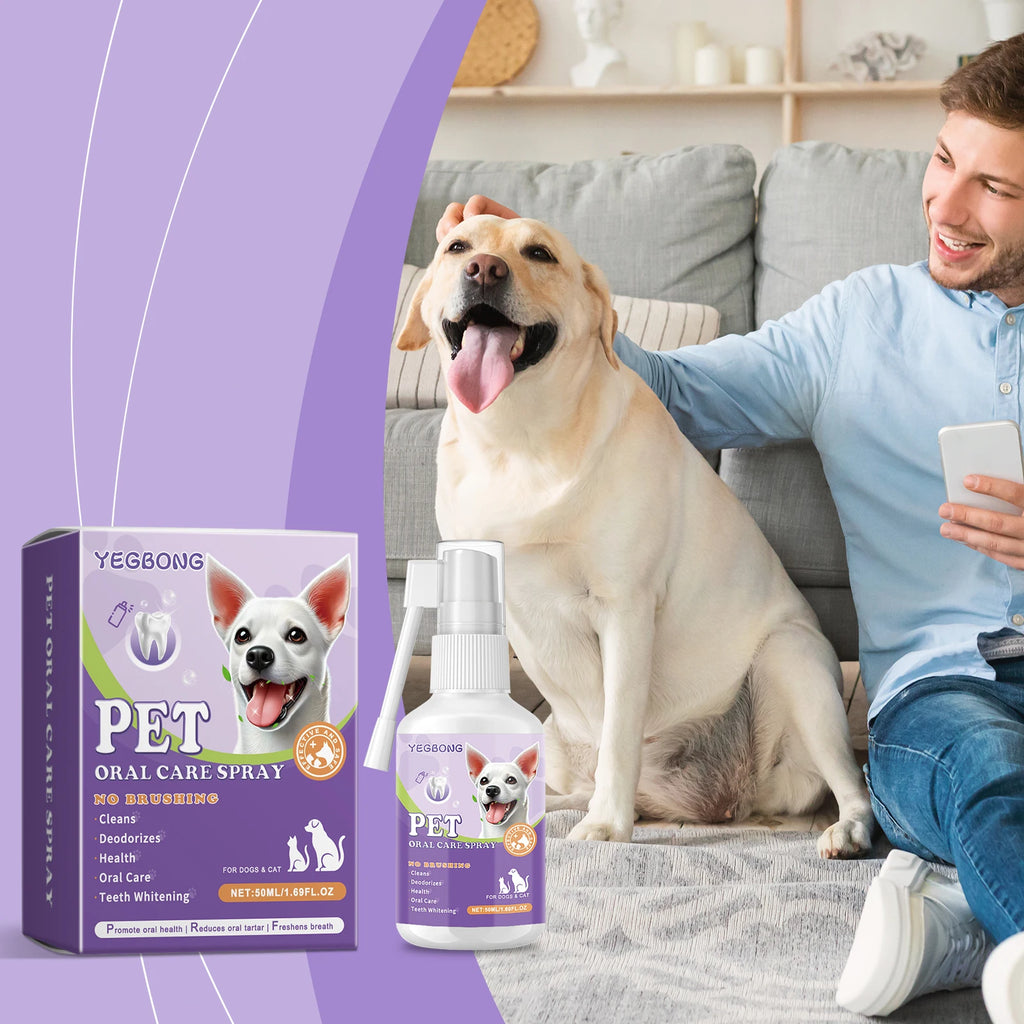 Pet Flea Spray Spray Effectively Removing Fleas Ticks Relieve Skin Itching Natural Ingredients Non Irritating Pet Flea Repellent Qme