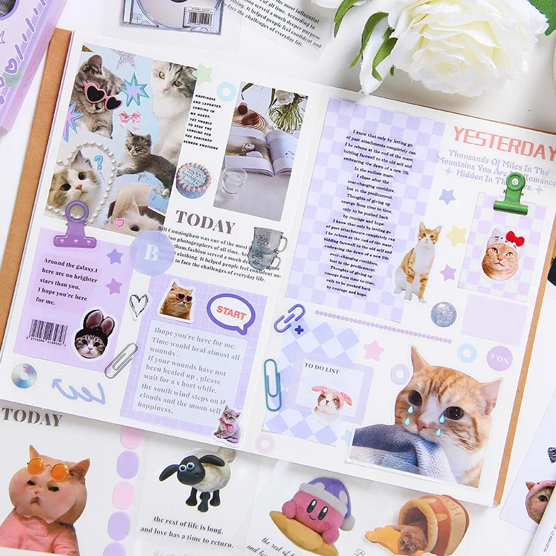 Junk Journal Boxed Stickers Perfect for gift wrapping embellishment, photo album decoration, suitable for phone cases notebooks. Qme