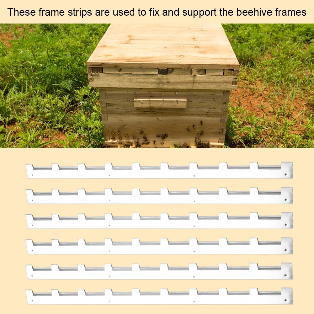 6Pcs Metal Beehive Frame Spacers Durable Beekeeping Hive Frame Strips Beekeeper Tool Equipment for Bee Hive Beekeeper Tool Qme