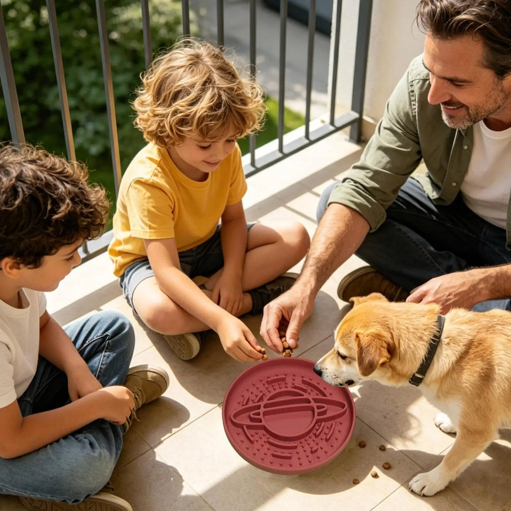Slow Feeder Dog Bowls Non-slip Anti-choking Silicone Feeding Station Qme