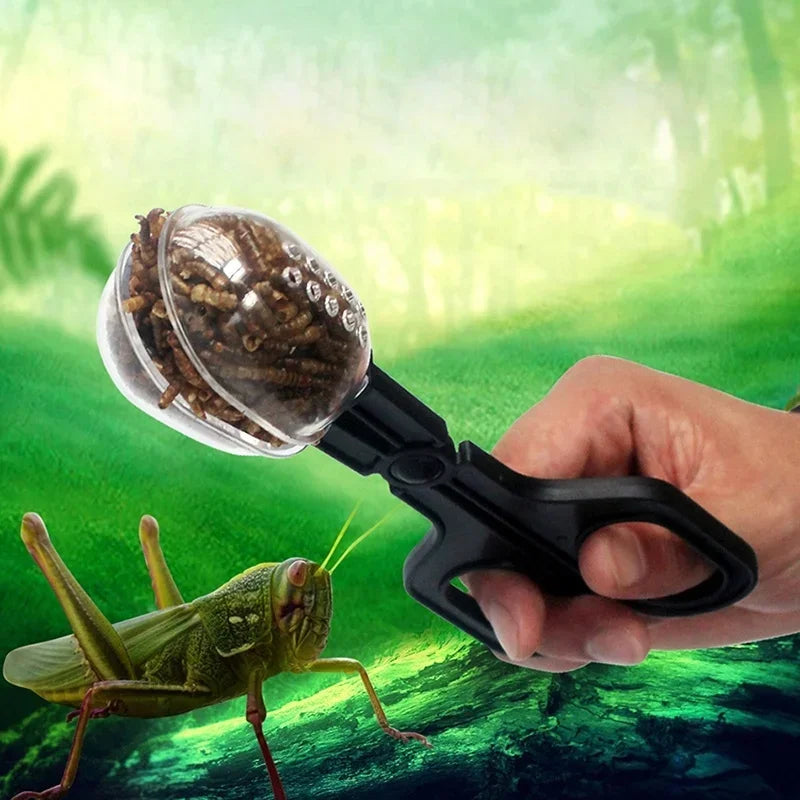 Scissor Reptile Clip Insect Breadbug Feeding Reptiles Biology Qme