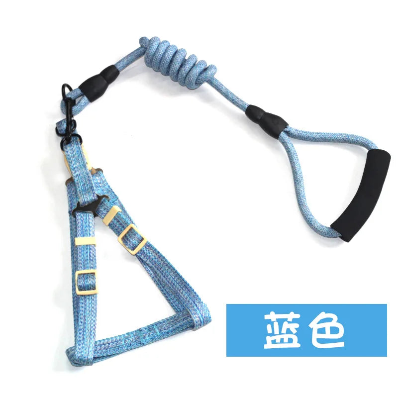 B Dog Harness 1.2M Leash Set for Small Dogs Adjustable Puppy Cat Harness Vest Poodle Chihuahua Pug Outdoor Walking Pet Leash Qme blue 2.5cm 15-25 kg