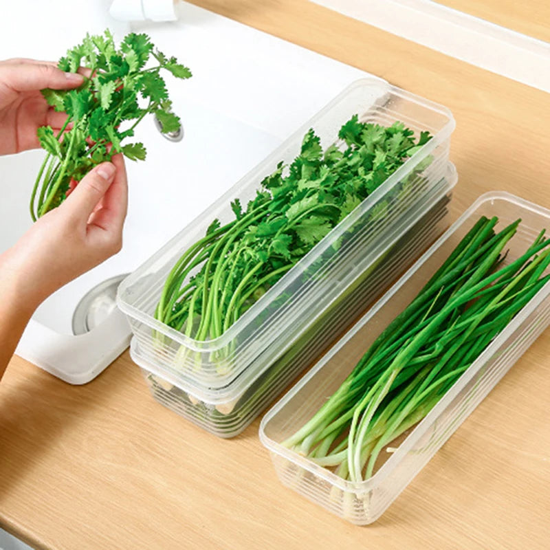 Storage Crisper Sealed Fridge Organiser Refrigerator Boxes Scallions Qme