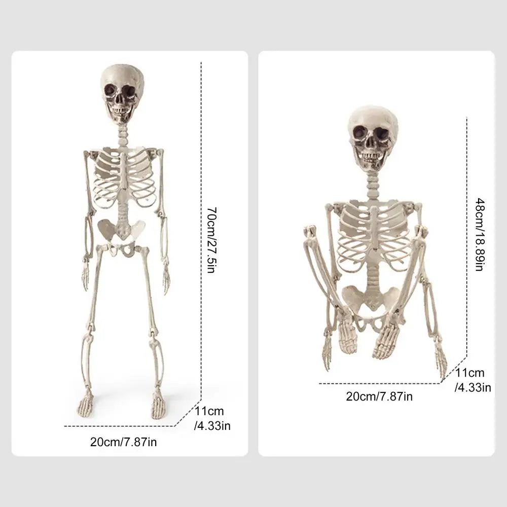 Skeletons Halloween 2ft Outdoor Human Bone Decorations Skull Props Qme 70cm China Mainland