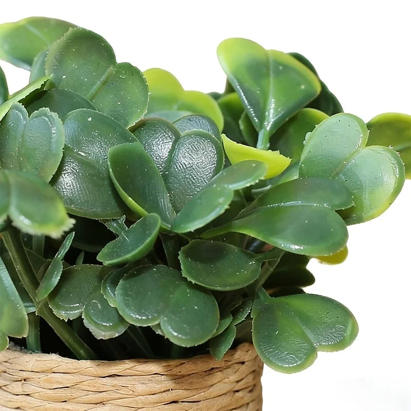 Artificial Potted Plants, Cute Mini Plants Potted Landscape Suitable for Indoor Outdoor Home Kitchen Desk Office Qme
