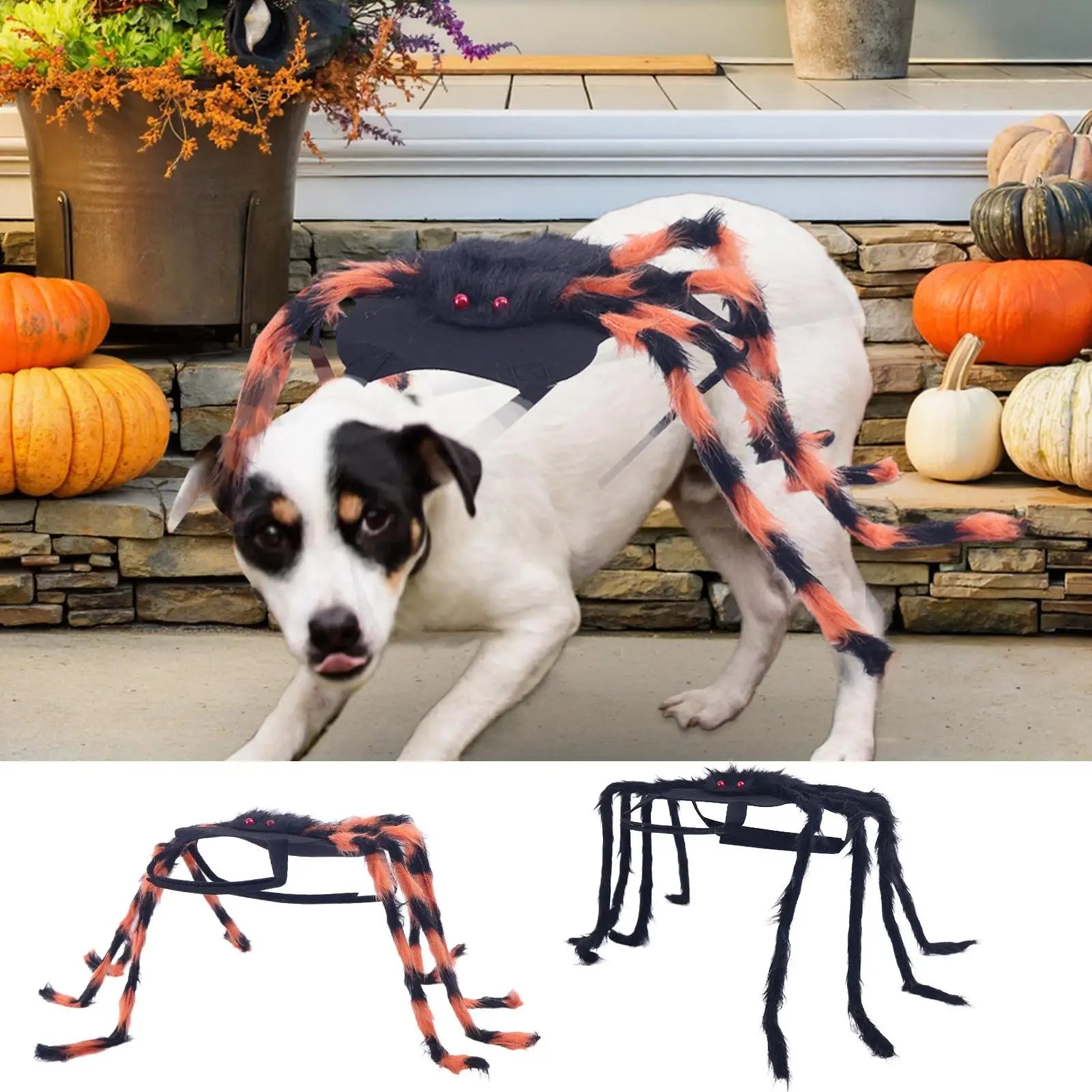 Dog Spider Costume Puppy Halloween Spider Cosplay Costumes Spooky Pet Cosplay Outfit Dress Up Accessories For Puppy Event Party Qme