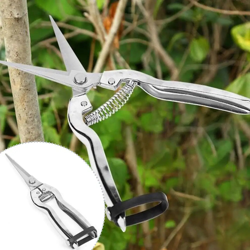 Pruner Pruning Shears Gardening Rose Plant Trimming Fruit Harvesting Qme