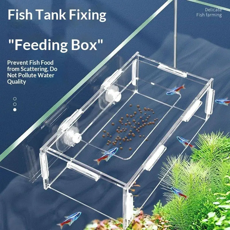 Fixed-point Fish Food Feeder Aquatic Aquarium Accessories Hanging Qme
