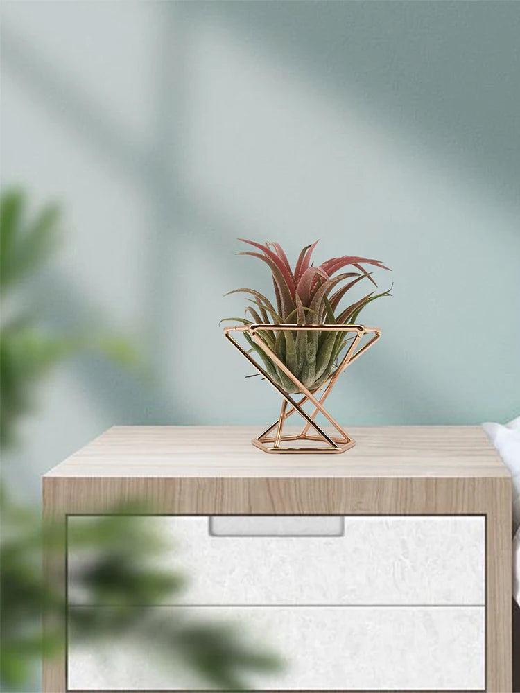 Rose Gold Geometric Air Plant Holder Metal Tillandsia Stand Hollow Display Rack Makeup Sponge Holder Home Desk Decor Qme