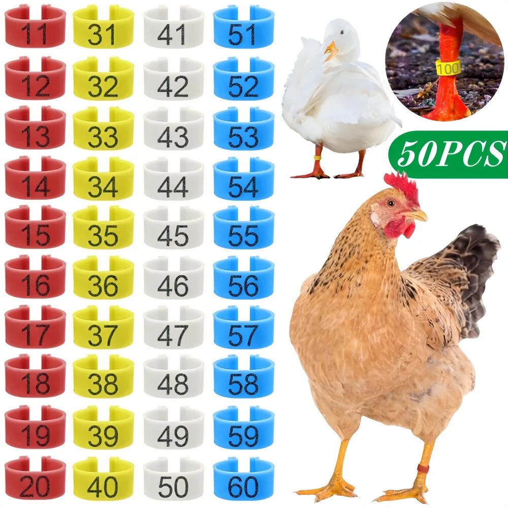 50pcs-10pc Chicken Foot Ring 1.6cm Turkeys Quail Foot Ring Multi-Color Numbered Identification Leg Rings Poultry Carry Foot Ring Qme