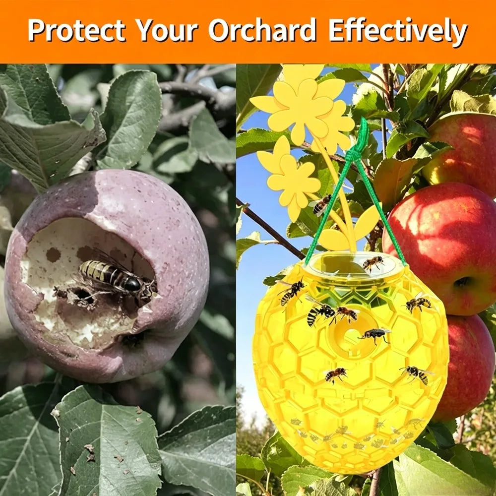 Fruit Fly Trap for Indoors Wasps Catcher Gnat Killer Gnat Traps for Oudoor Non-Toxic Reusable Easy to Use for Kitchen Home Qme