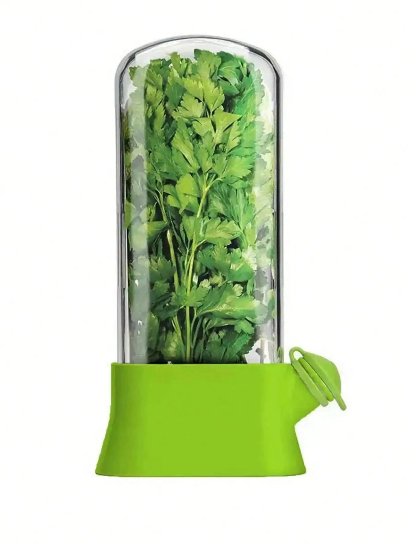 Herbal Storage Containers Refrigerator Vanilla Coriander Boxes Qme green