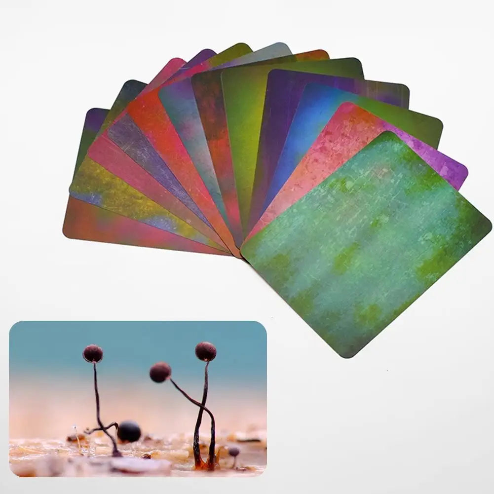 Macro Photography Background Card With Multiple Colors, Light Absorbing Materials Ecological Photography Blurred Background Qme