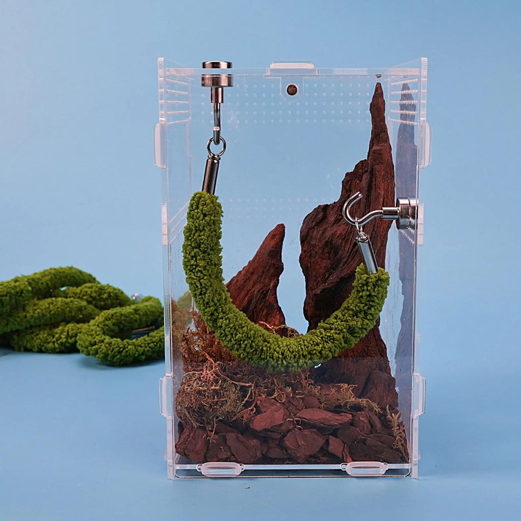 Jumping Spider Bridge Hermit Crab Climbing Supplies Spider Enclosure Bridge Swings for Pet Keepers Teachers Nature Lovers Qme