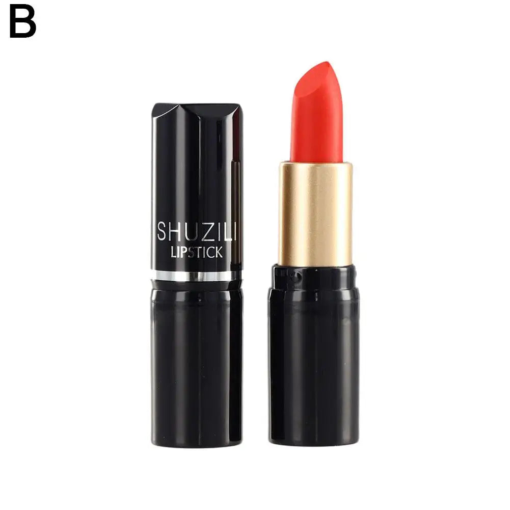 Original Tube Lipstick Smooth Long Lasting Mini Tube Mate Velvet Lipstick Moisturizer Gloss Waterproof Lip Lipstick Cosmetic Qme 02 CN