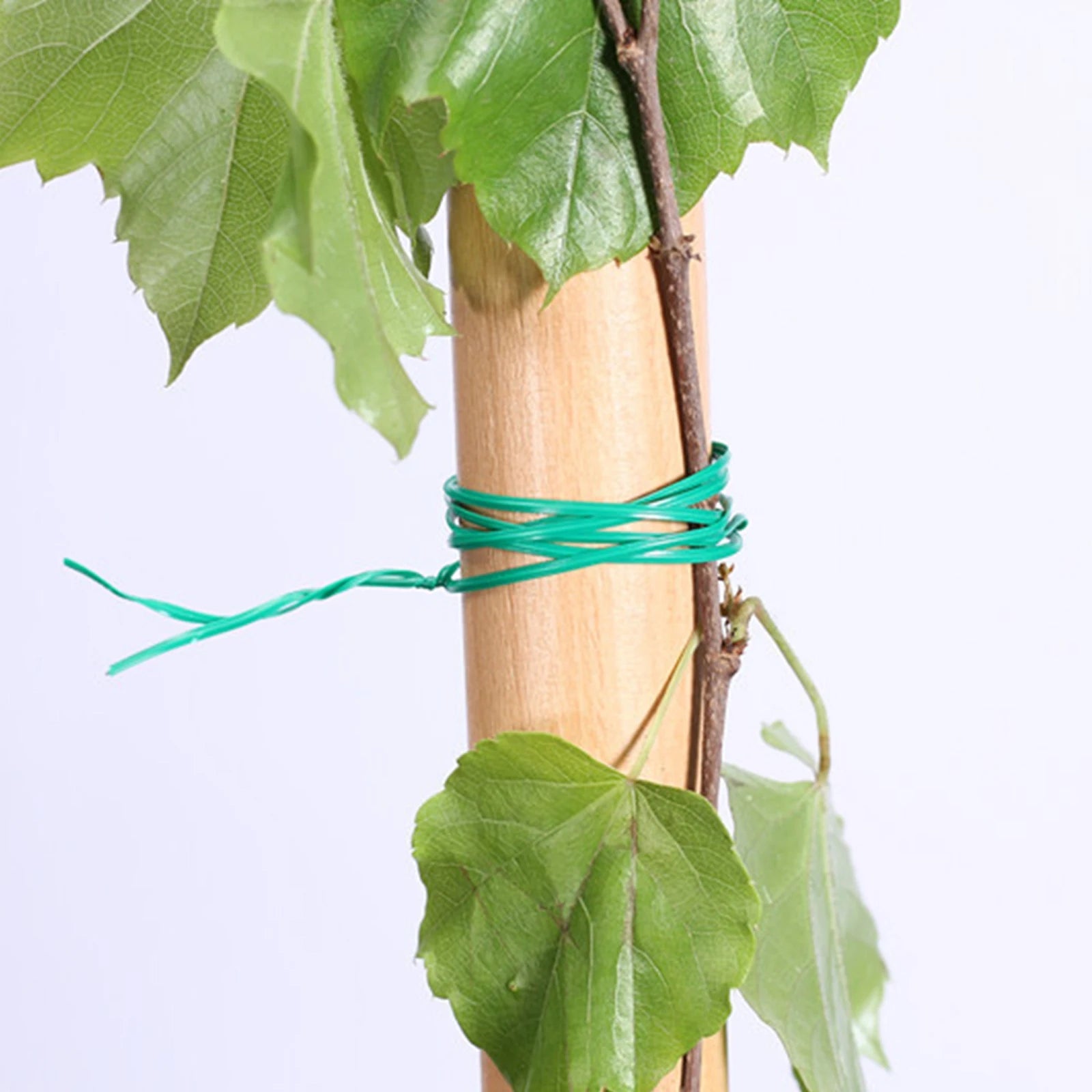 Durable Green Cable Ties with Cutter Reusable Green Twists Ties for Fixing Climbing Plant and Fruit Tree Home Multipropose Strap Qme