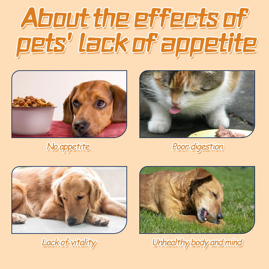 Pet Health Drops Dogs Regulate Stomach Vomiting Stomach Protection Cats Calm down Anxiety Relief Pet Probiotics Digestive Drop Qme