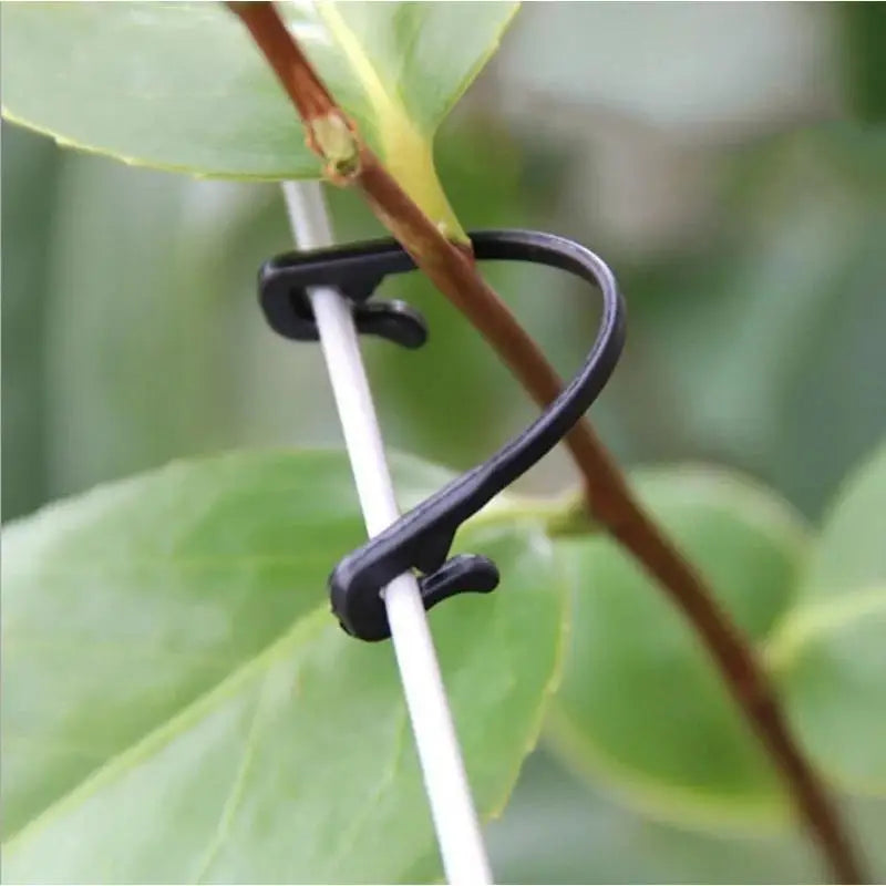 Garden Plant Ties Grapes Vine Binding Tape Adjustable Support Clips Qme