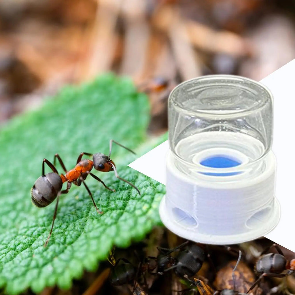 Ant Liquid Feeder Anti-Drowning Transparent Leakproof Bee Water Station for Home Classroom Farm Outdoors Qme