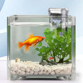 Fish Tank Filter Suspended Aquarium Quiet Filters Adjustable Flows Qme China Mainland