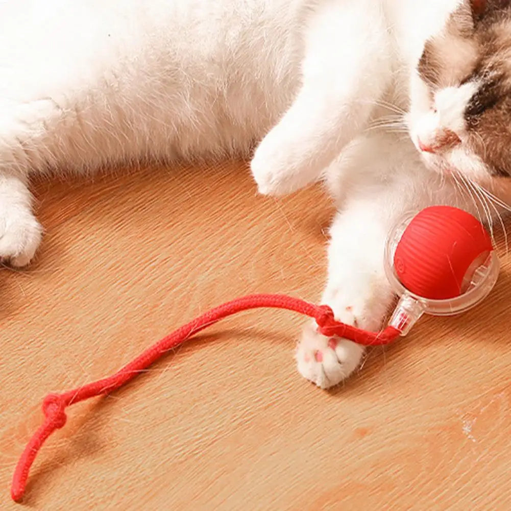 Pet Gravity Intelligent Rolling Ball Cat Toy Ball Relieves Boredom Self Fun Teasing Cat Ball for Interaction Indoor Playing Qme