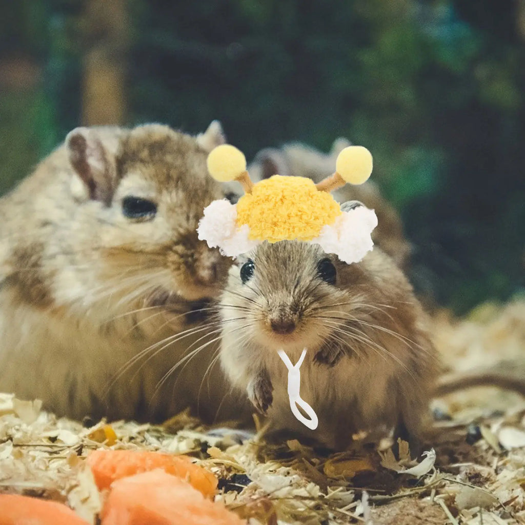 Festive Pet Hat for Hamster Parrot Rabbit Tiny Animals New Year Celebration Handmade Knit Headwear Adorable Photo Qme