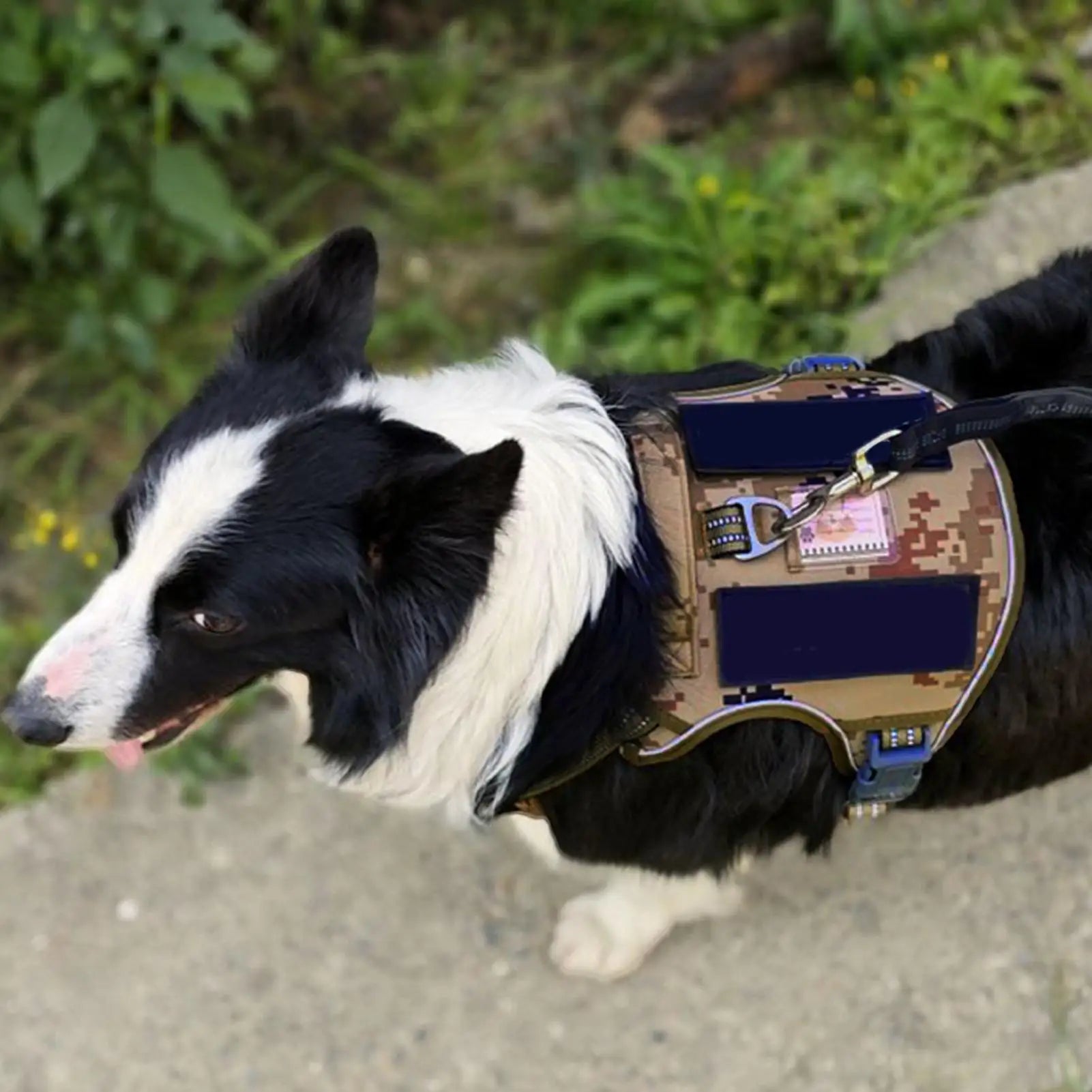 Dog Harness Metal Buckle Dog Training Harness Vest Adjustable Collar For Medium Large Outdoor Rescue Hunting Tasks Search Qme