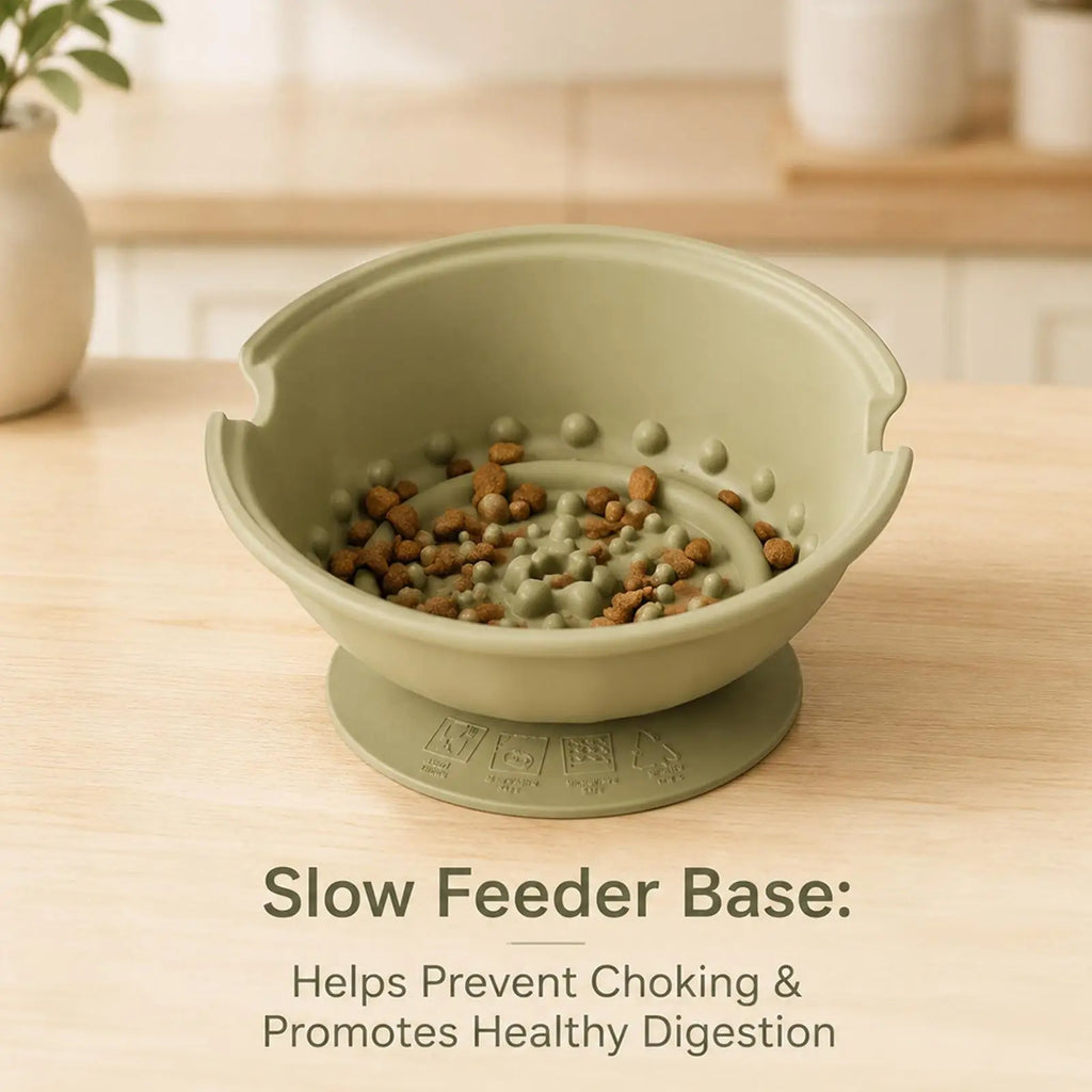 Slanted Dog Bowls 15 Degree Slanted Non-Slip Pet Plate 2 In 1 Detachable Non-Spill Stainless Steel Dog Bowl For Feeding Drinking Qme