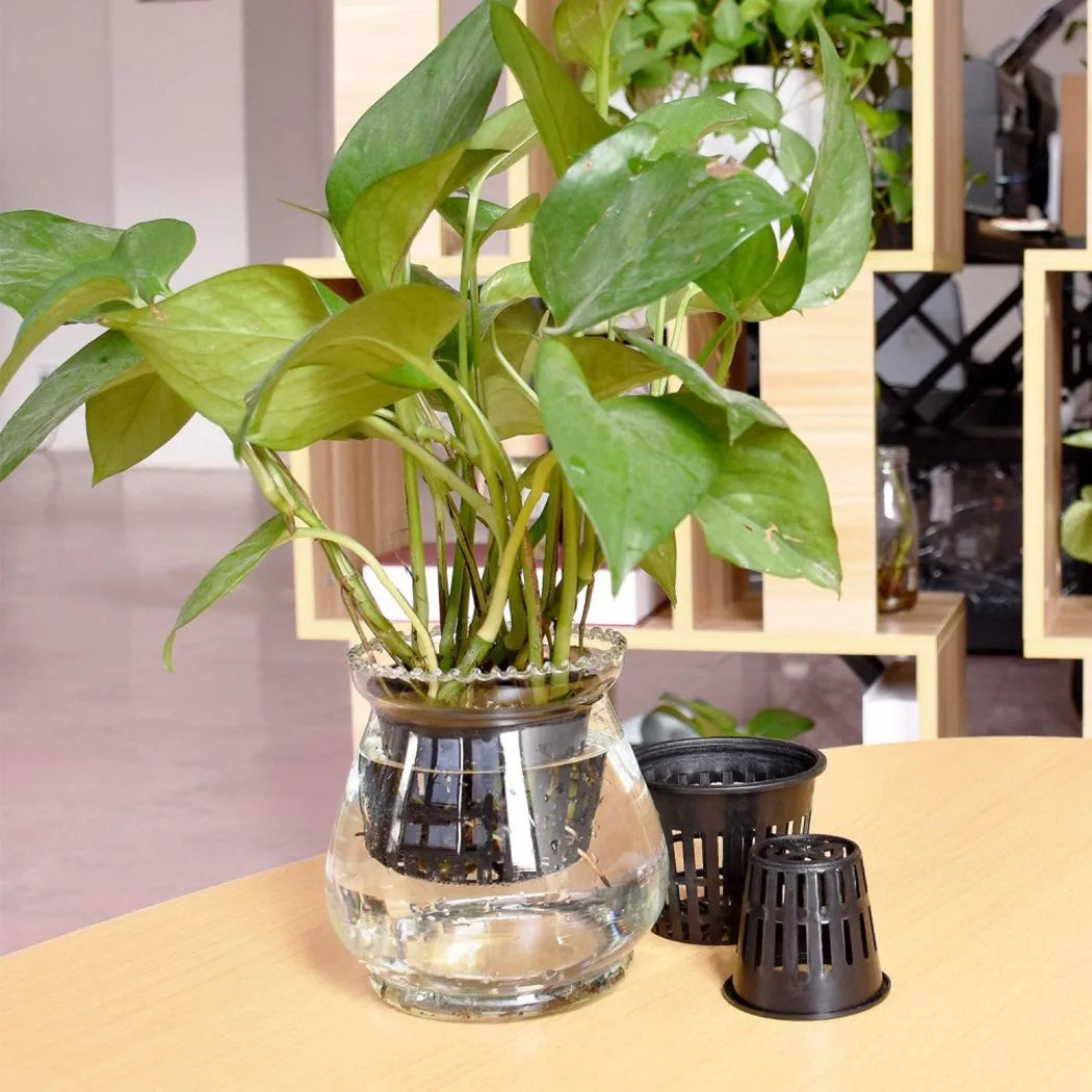 25PCS Hydroponic Pot Net Cup Hydroponic Soilless Mesh Net Basket Plant Veg Grow Nursery Cup Pot Garden Plant Basket Qme