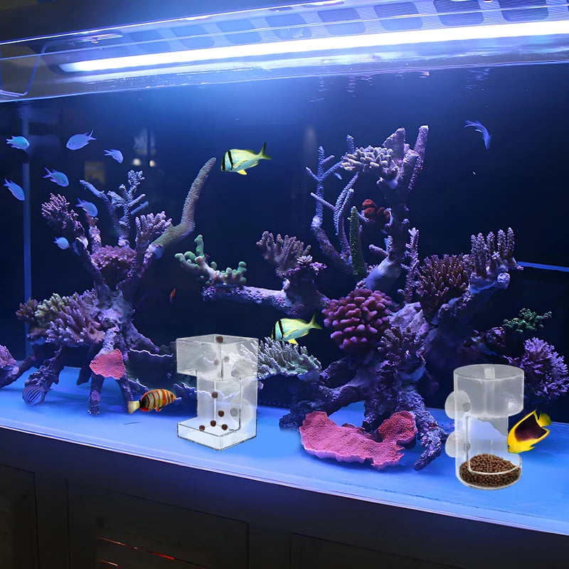 1Pc Fish Feeder For Aquarium 2025 New Fish Tank Dish Tray With Suction Cup Acrylic Fish Food Holder Fish Feeding Tube. Qme