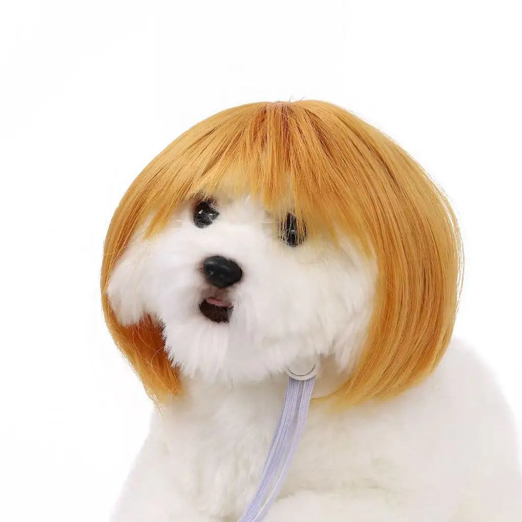Halloween Pet Wig Fashion Curly Straight Hair Cute Role Play Qme B