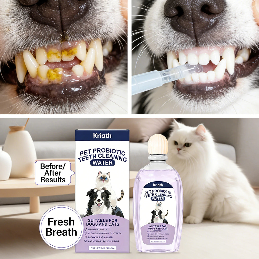 Pet Oral Care Solution Effectively Reducing Plaque and Plaque Accumulation Prevent Bad Breath Promote Gum Health Pet Oral Cleane Qme