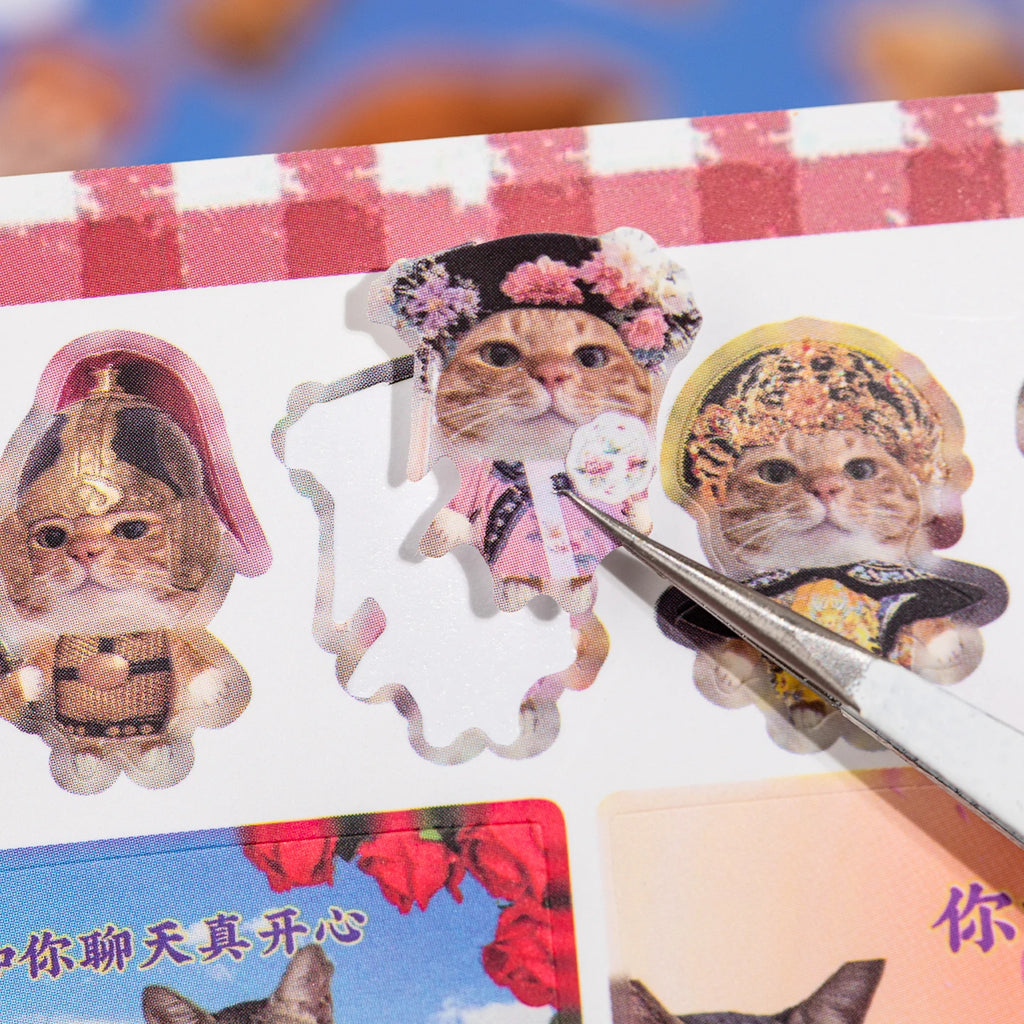 Cat Daily Meme Sticker Book, Funny Kitten Head & Food Themed Stickers for Journal Collage Qme