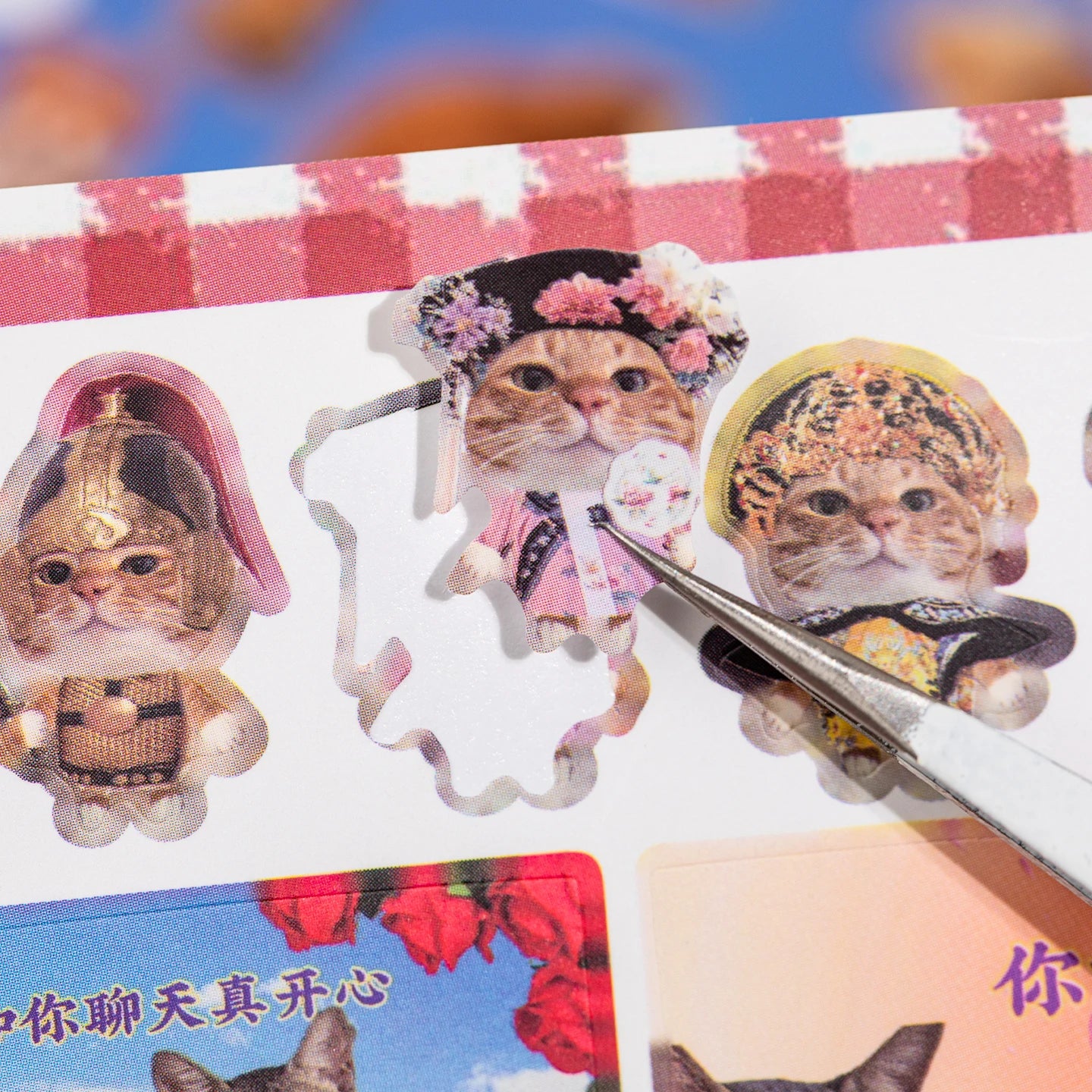 Cat Daily Meme Sticker Book, Funny Kitten Head & Food Themed Stickers for Journal Collage Qme