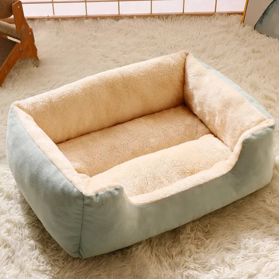 Bed for Cats Pet Products Cushions Kitten Goods Accessories Dog All Houses Supplies Things Accessory Habitats Basket House Beds Qme